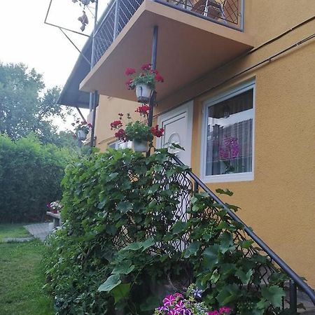 Casa De Oaspeti Orso โซวาตา ภายนอก รูปภาพ